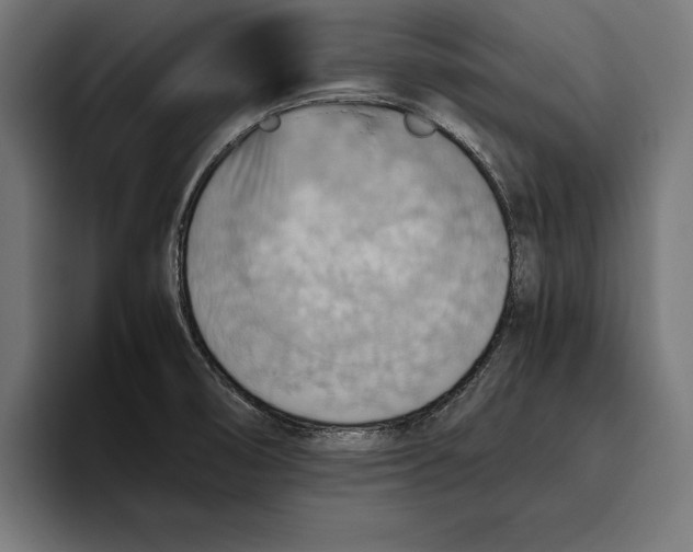 X0000094801474200712071155