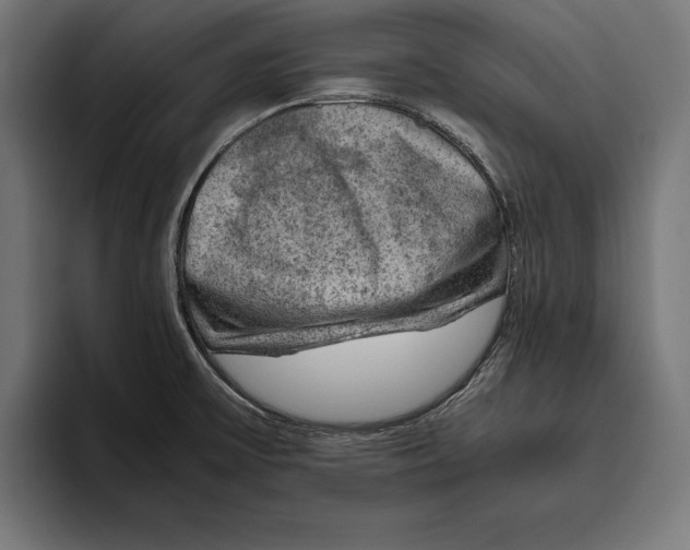 X0000094801475200712071155