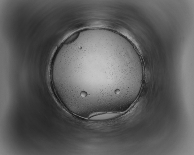 X0000094801477200712071155