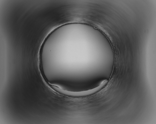 X0000094801479200712071155