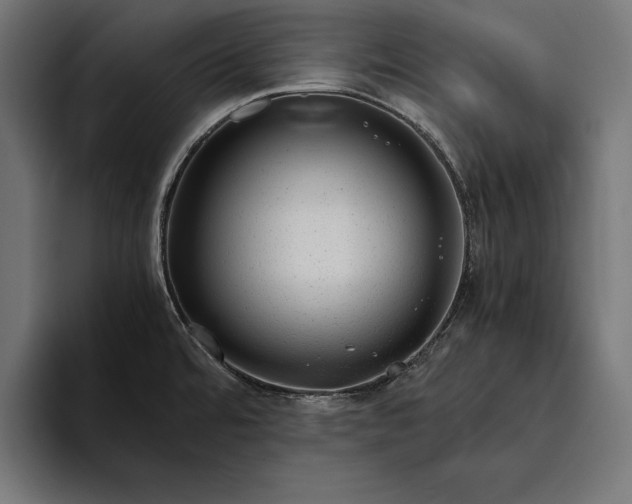 X0000094801480200712071155