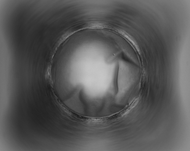 X0000094801481200712071155