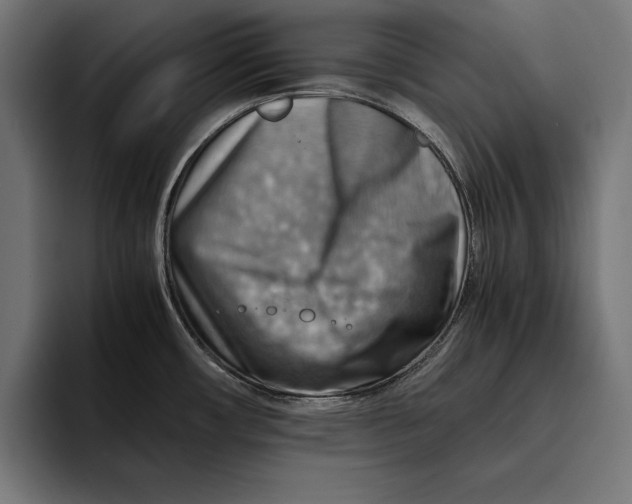 X0000094801482200712071155