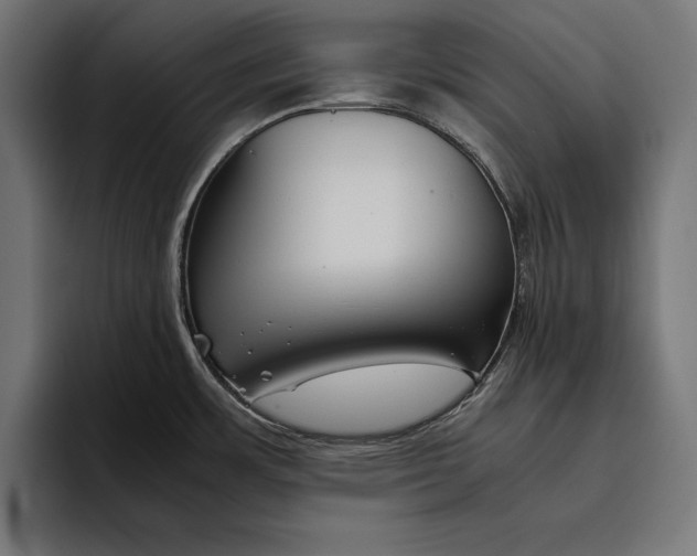 X0000094801483200712071155