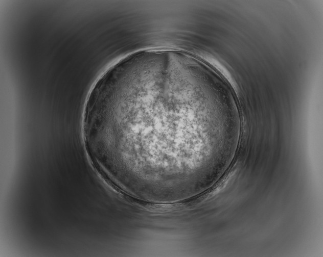 X0000094801485200712071155