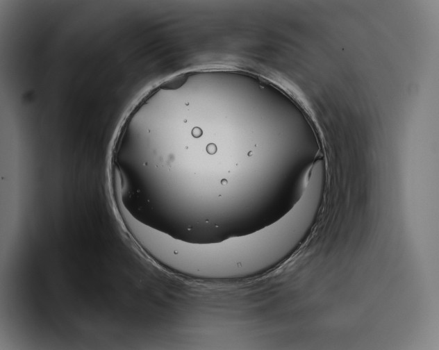 X0000094801488200712071155