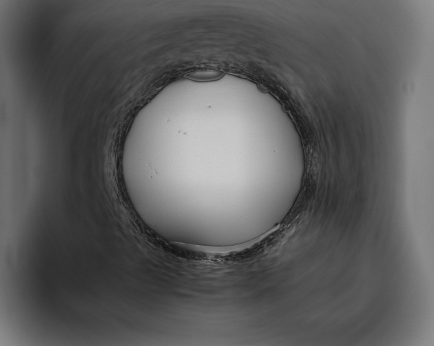 X0000094801489200712071155