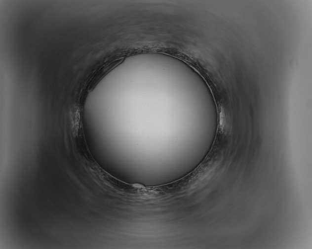 X0000094801492200712071155