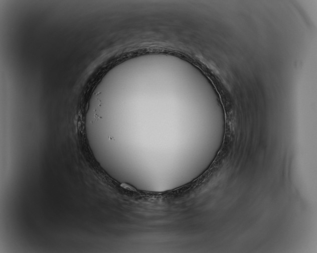 X0000094801495200712071155