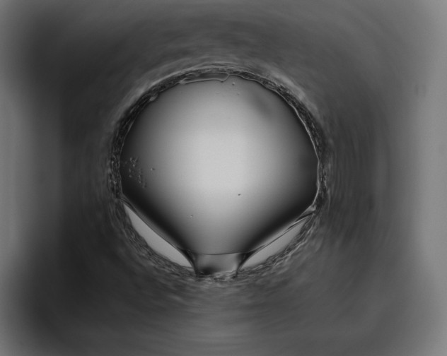 X0000094801496200712071155