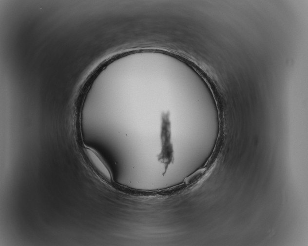 X0000094801502200712071155