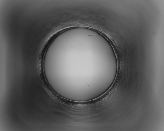 X0000094801503200712071155