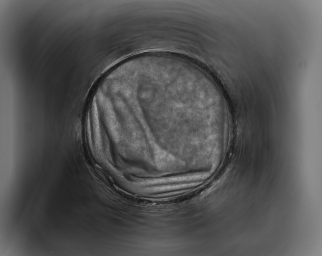 X0000094801505200712071155