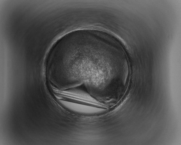 X0000094801506200712071155