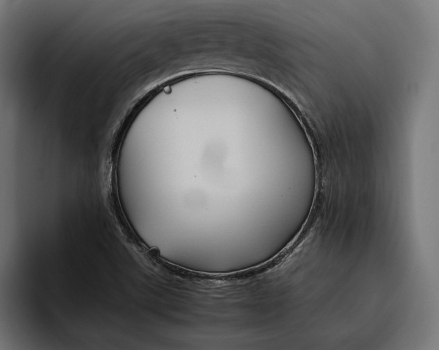 X0000094801507200712071155