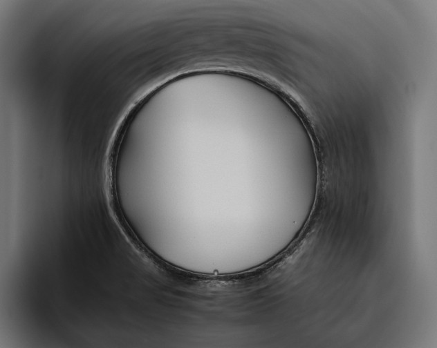 X0000094801517200712071155