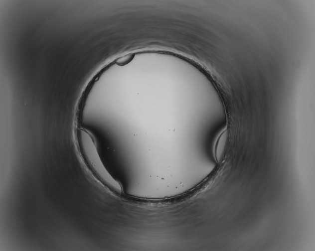 X0000094801518200712071155