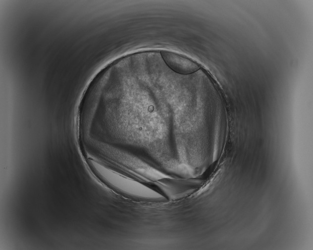 X0000094801519200712071155