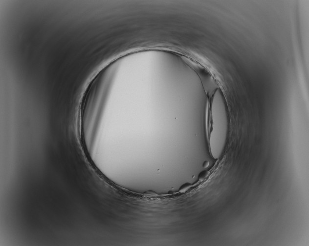 X0000094801520200712071155