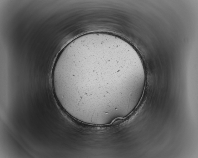 X0000094801521200712071155