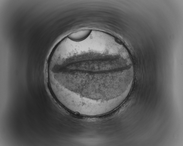 X0000094801522200712071155