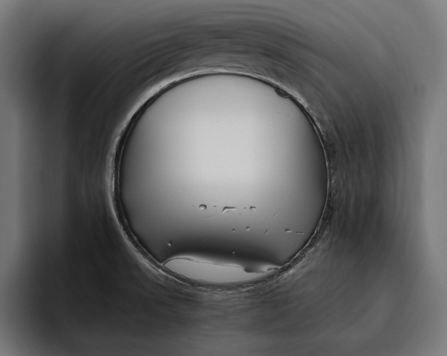 X0000094801523200712071155