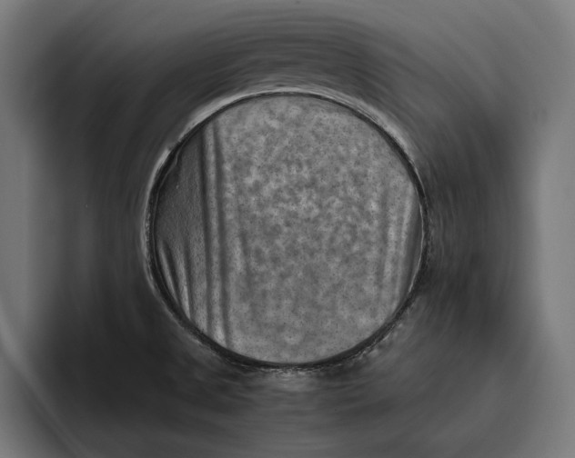 X0000094801525200712071155