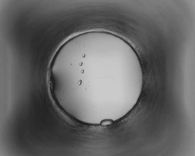 X0000094801526200712071155