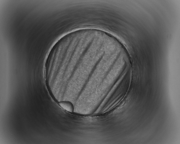 X0000094801527200712071155