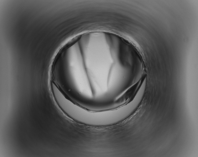 X0000094801528200712071155