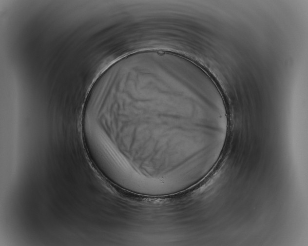 X0000094801529200712071155