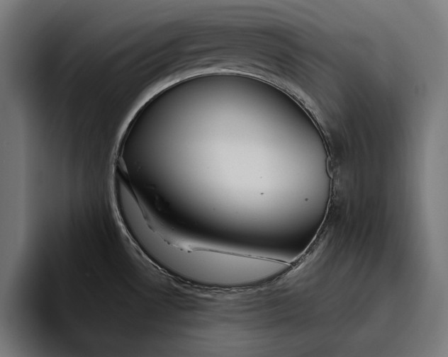 X0000094801530200712071155