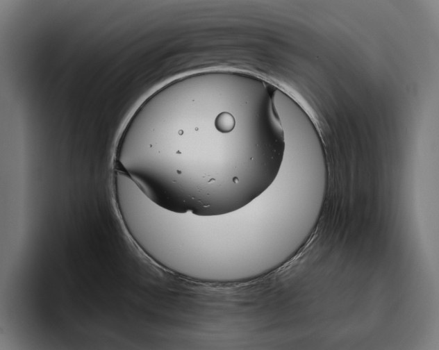 X0000094801532200712071155