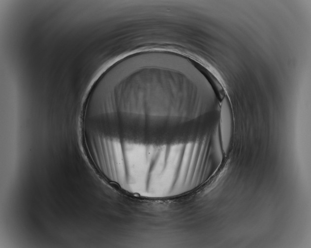 X0000094801533200712071155