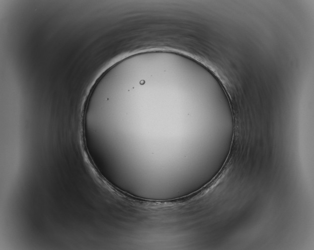 X0000094801534200712071155