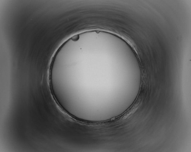 X0000094801535200712071155