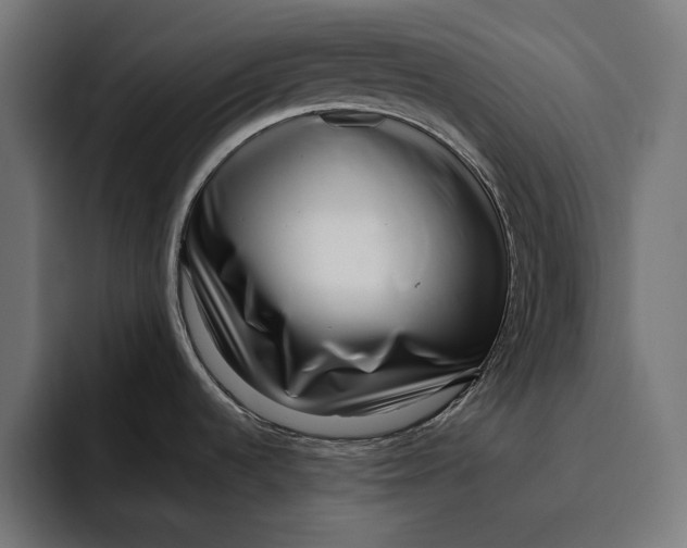 X0000094801536200712071155