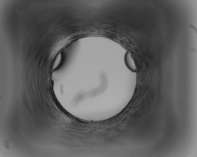 X0000094800005200712141703