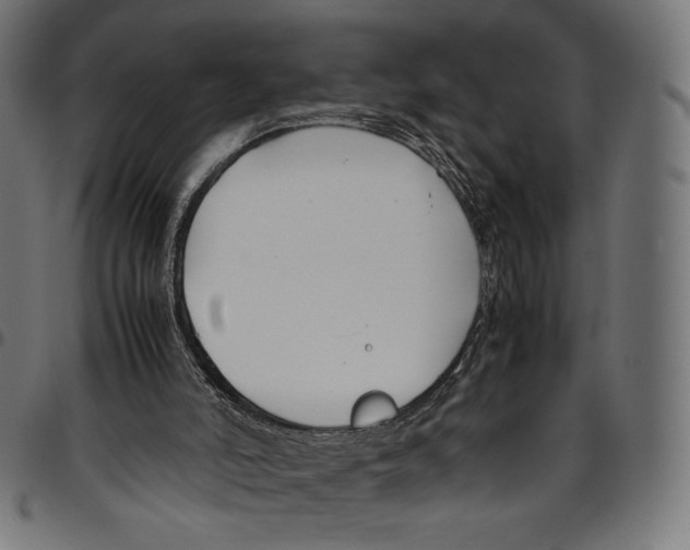 X0000094800006200712141703