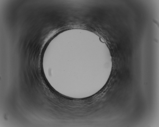 X0000094800008200712141703