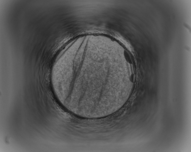 X0000094800009200712141703