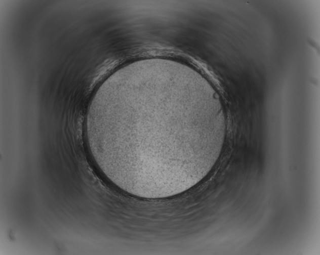 X0000094800010200712141703