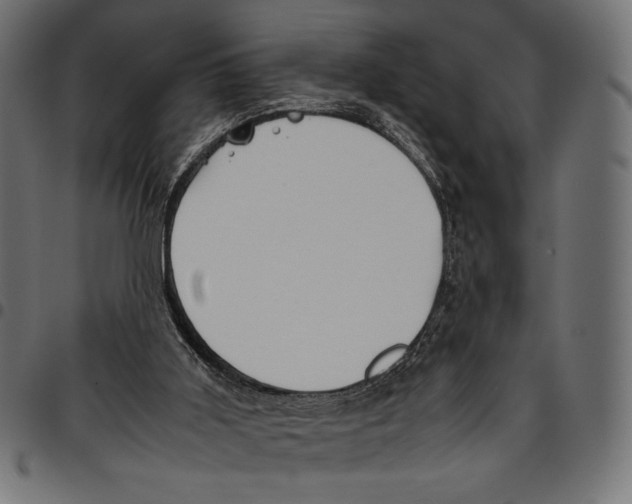 X0000094800011200712141703