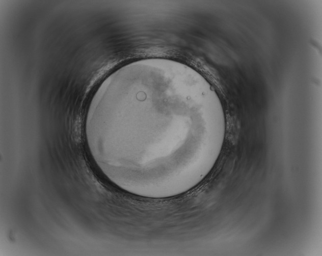 X0000094800012200712141703