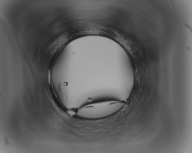 X0000094800013200712141703