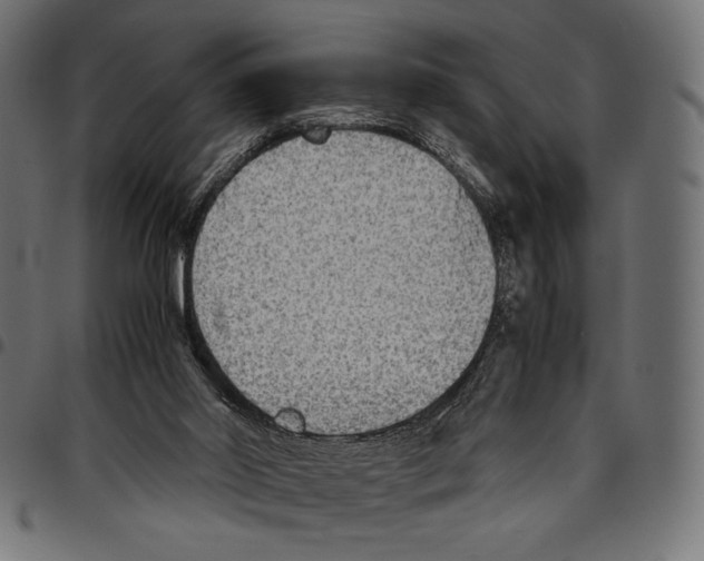 X0000094800014200712141703