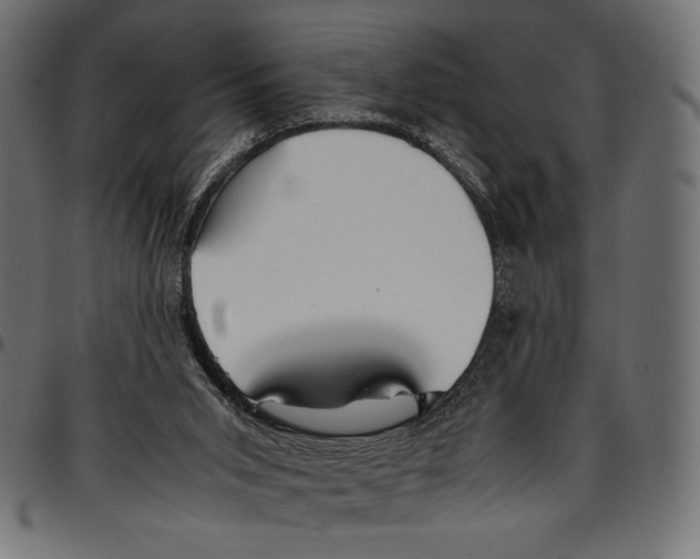 X0000094800015200712141703