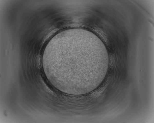 X0000094800016200712141703