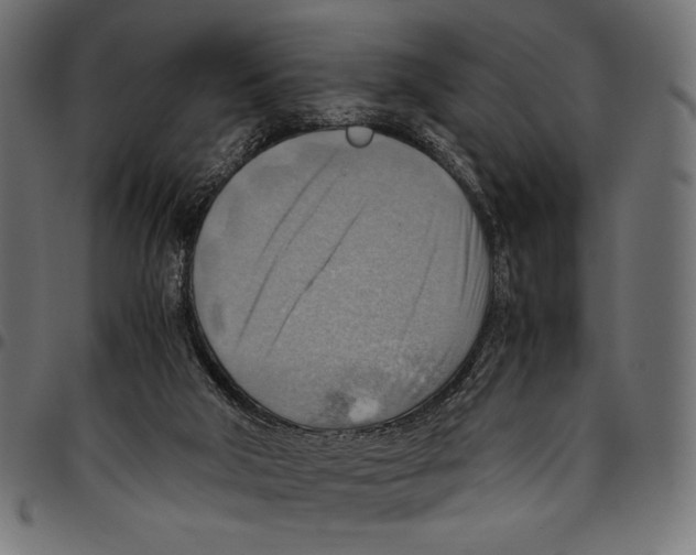 X0000094800018200712141703