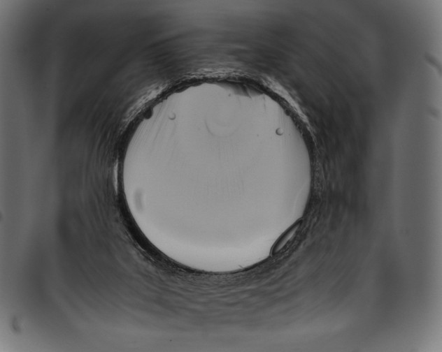 X0000094800019200712141703